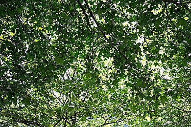 E3 2021：射击对抗《雷能思之门》新演示 8月3日发售